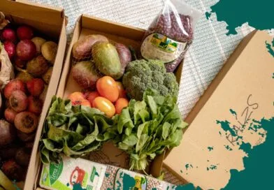 Raízs: Compre orgânicos direto do pequeno produtor sem sair de casa