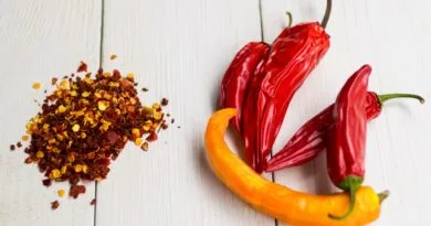 pimenta mais ardida do mundo