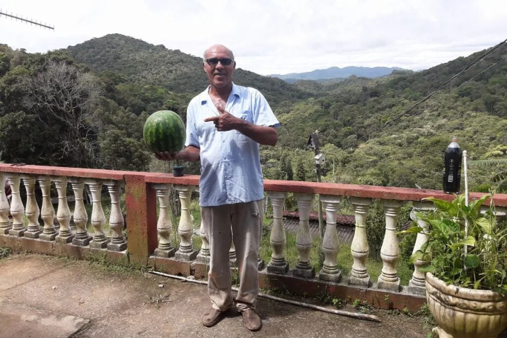 Imagem do apicultor Ademir Antônio, dono do Apiario Vale do Amanhecer.