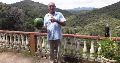 Apiário Vale do Amanhecer: em meio a Serra do Mar, uma produção artesanal de mel