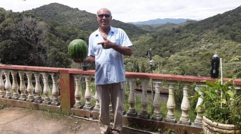 Apiário Vale do Amanhecer: em meio a Serra do Mar, uma produção artesanal de mel