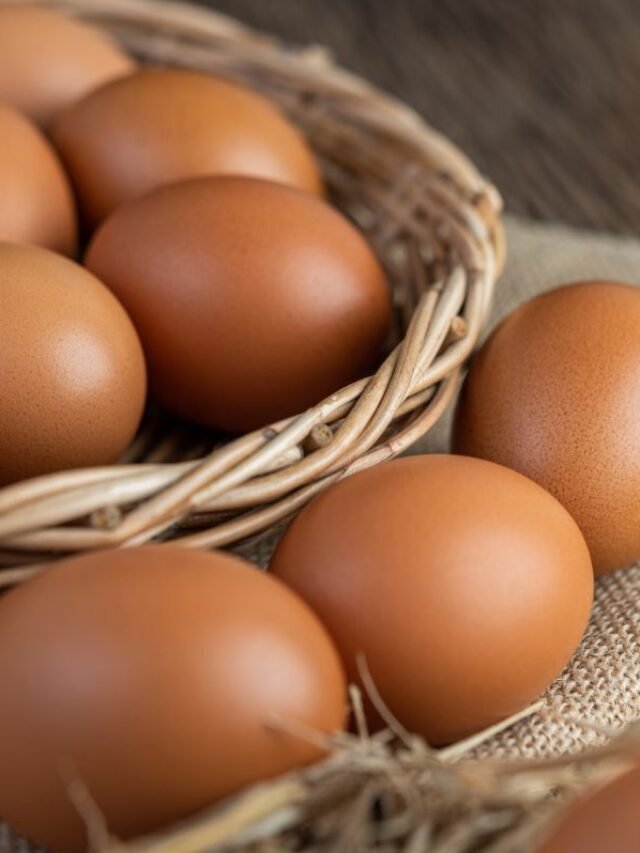 Ovo de galinha: 6 benefícios que você não conhece