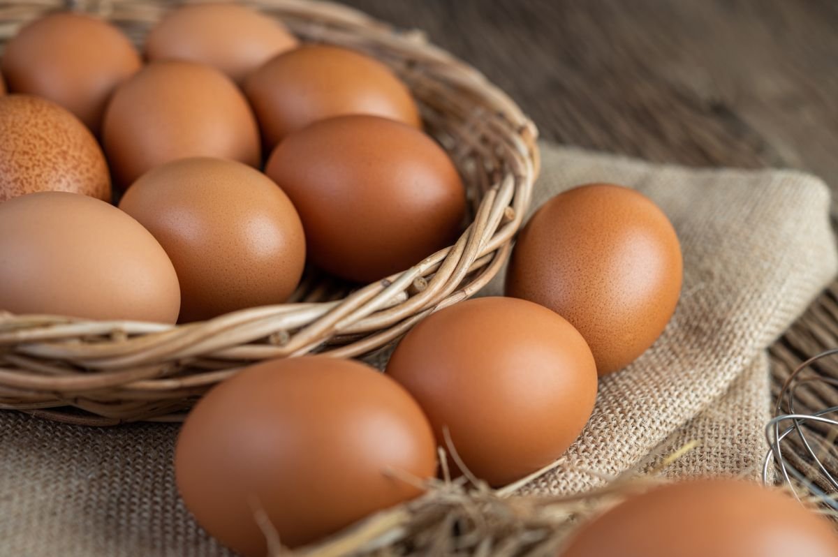 Ovos numa cesta de palha - Veja os benefícios do ovo para sua saúde
