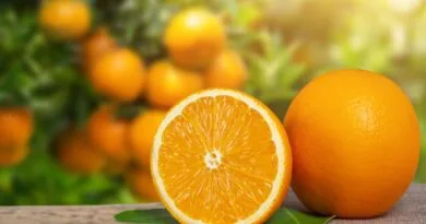 laranja do jardim 1