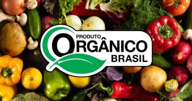 Selo de Certificação Orgânica.